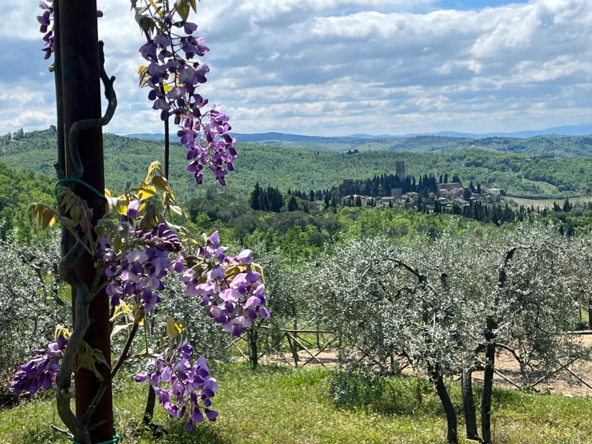 شقة Il Fiorino Di Badia Badia A Passigano المظهر الخارجي الصورة