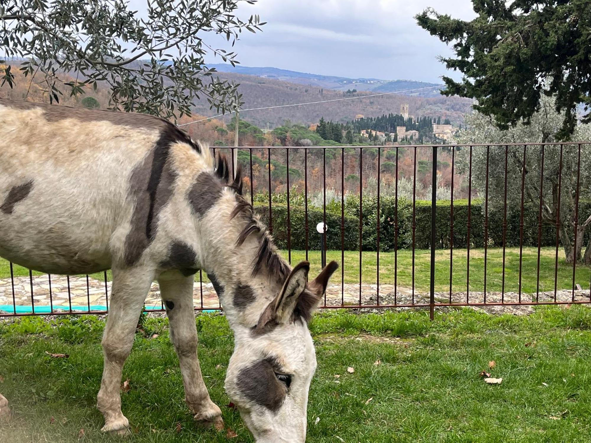 شقة Il Fiorino Di Badia Badia A Passigano المظهر الخارجي الصورة