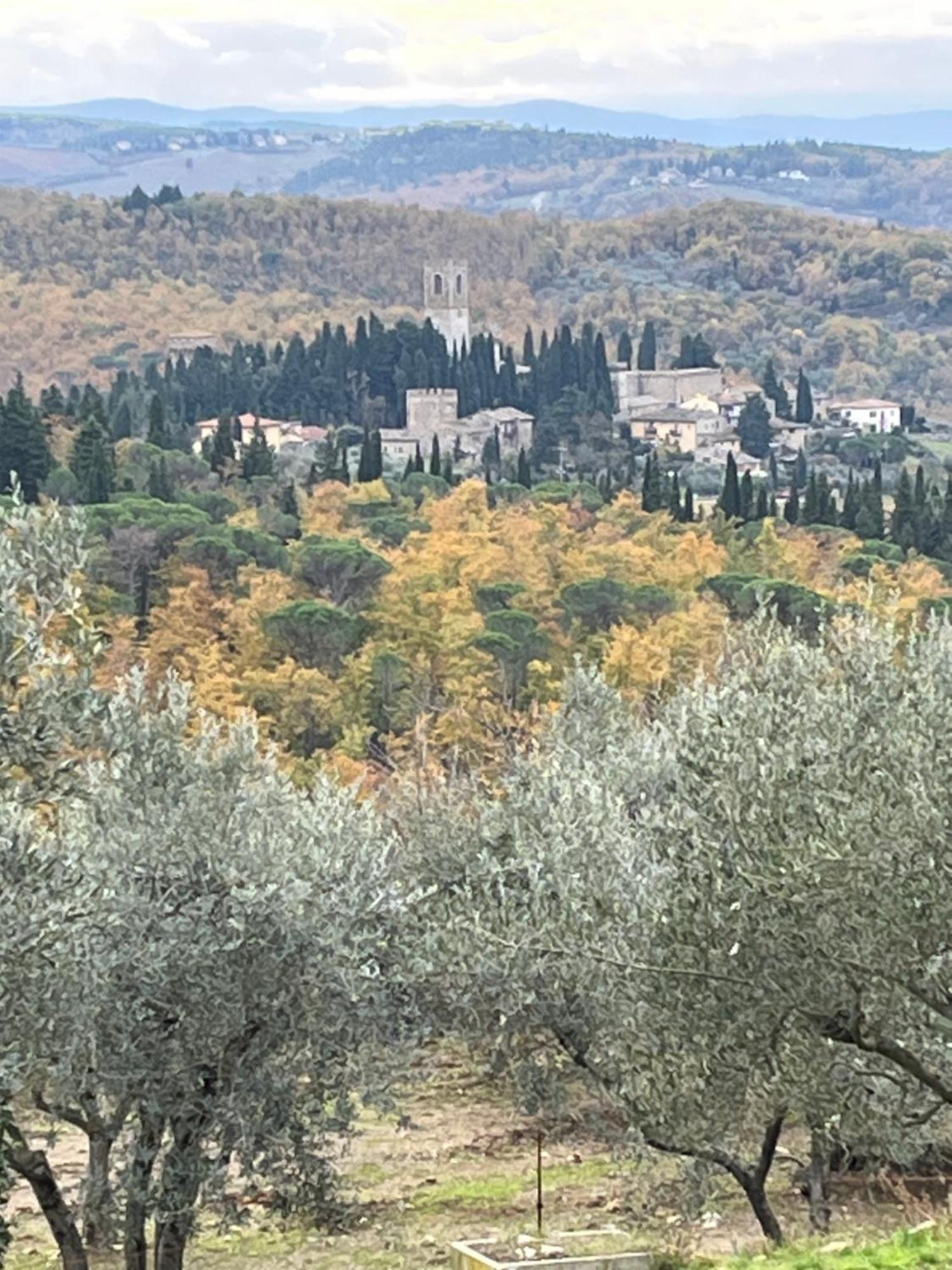 شقة Il Fiorino Di Badia Badia A Passigano المظهر الخارجي الصورة