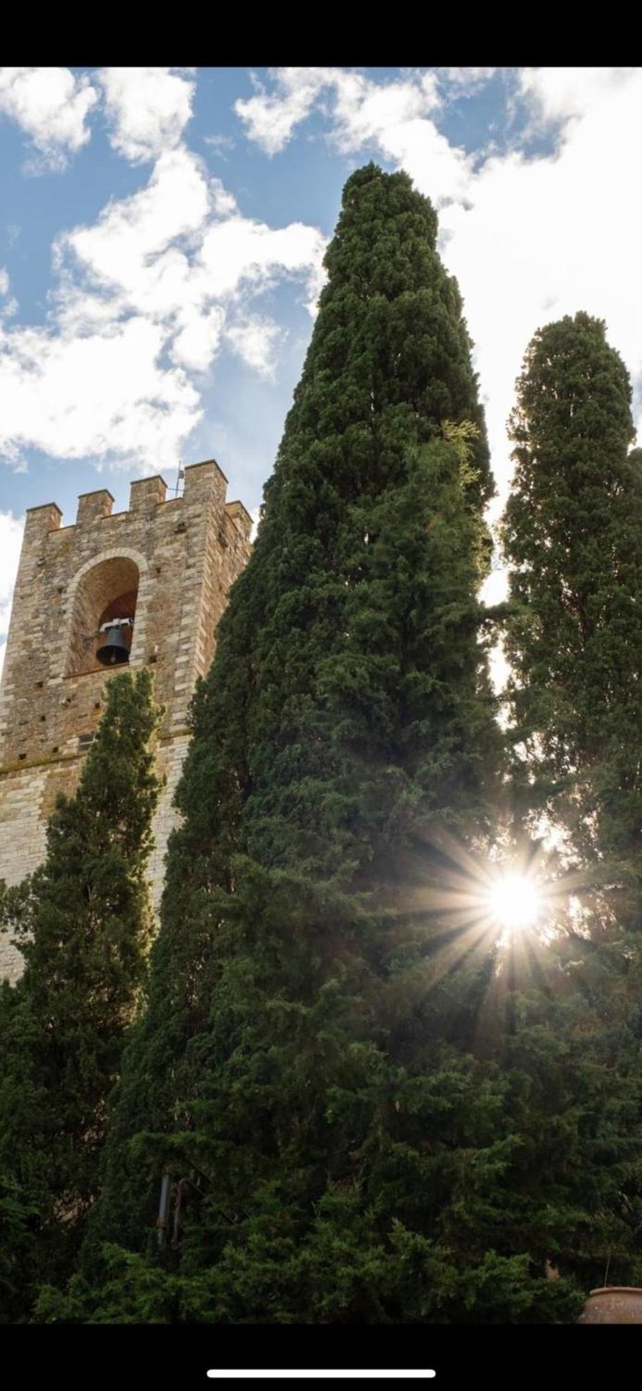 شقة Il Fiorino Di Badia Badia A Passigano المظهر الخارجي الصورة
