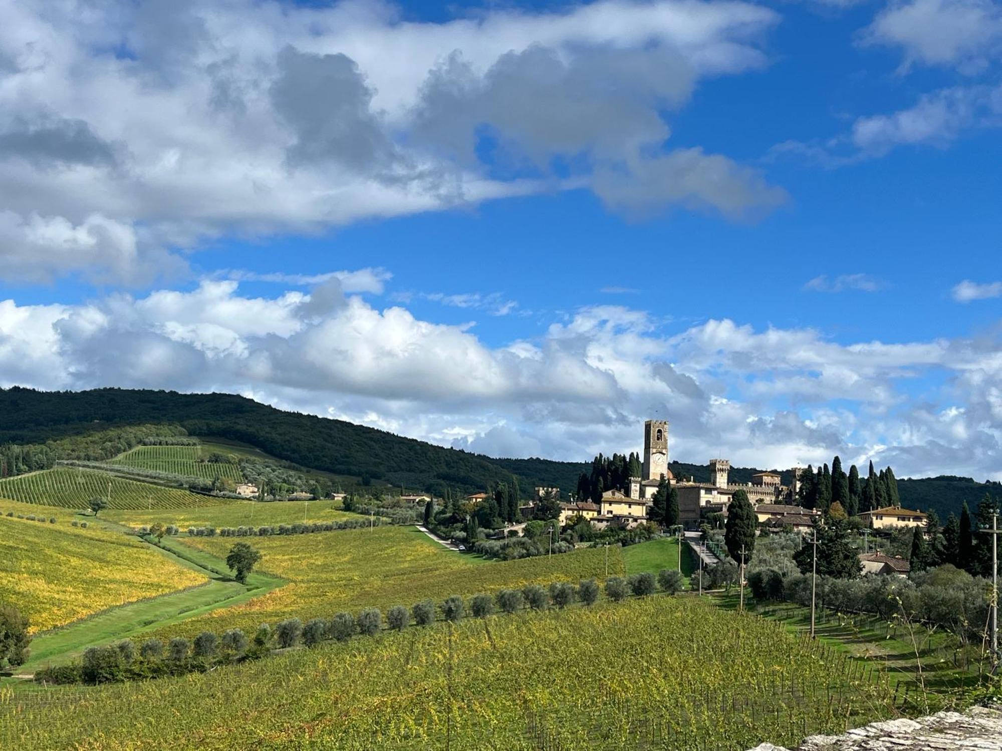 شقة Il Fiorino Di Badia Badia A Passigano المظهر الخارجي الصورة